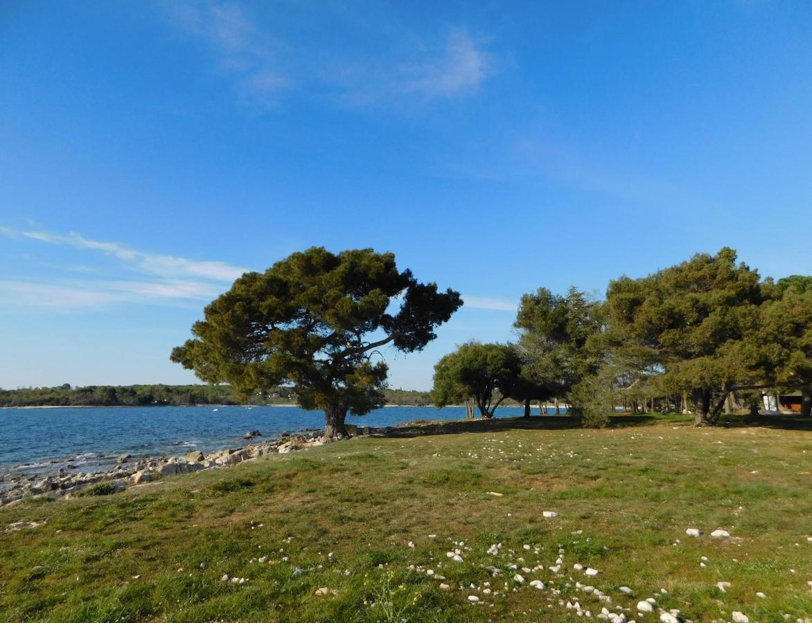 House Monika * Porec